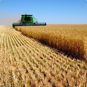Agroindustria